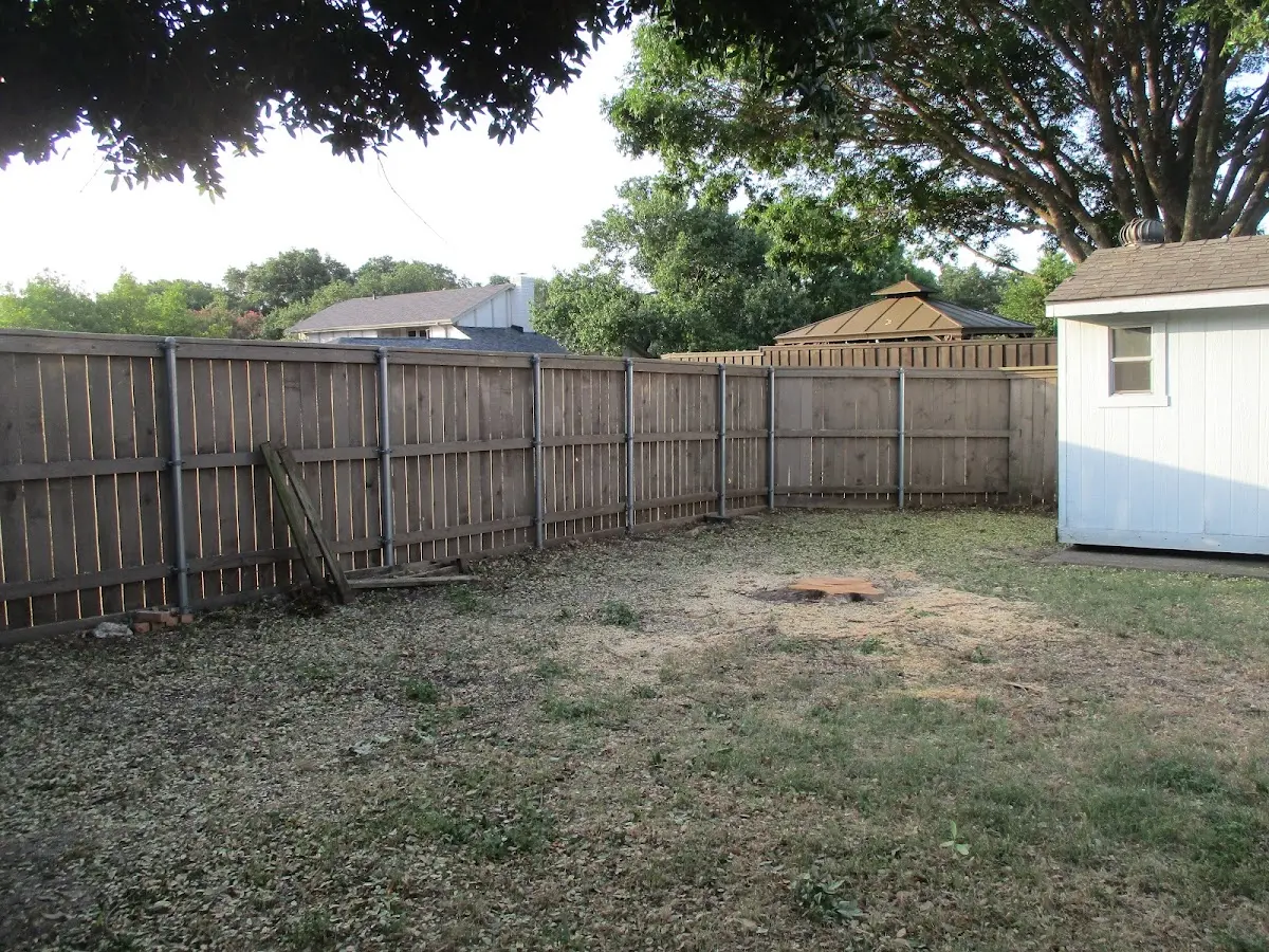 Cleared yard after professional tree removal in Welches